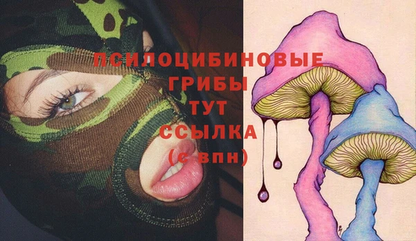 хмурый Баксан