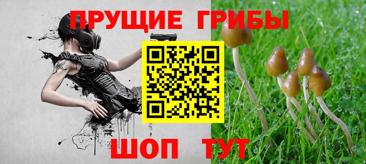 Галлюциногенные грибы Magic Shrooms  Вход с VPN  Псилоцибиновые грибы мухоморы  Дагестанские Огни 